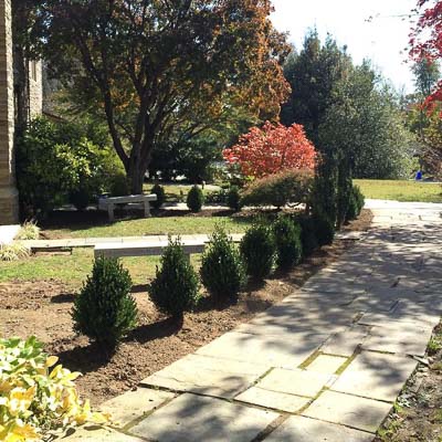 West Chester PA Landscape Installation